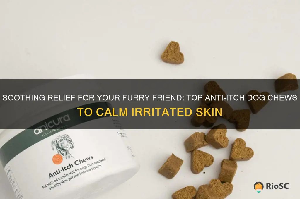 best anti itch dog chews