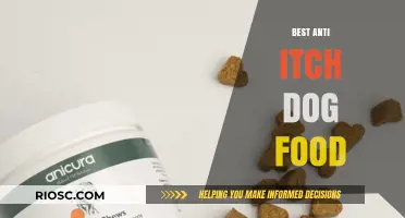 Relieve Your Dog's Itch: Top Anti-Itch Dog Food Options for Healthier Skin and Coat