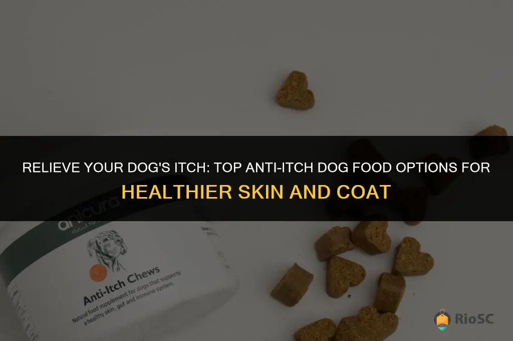 best anti itch dog food