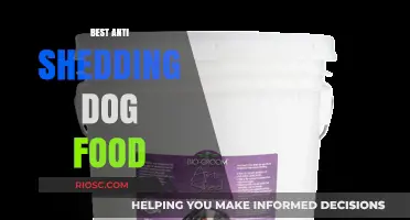 Top Picks for Anti-Shedding Dog Food: Keep Your Pup's Coat Healthy and Shiny
