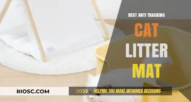 Top Anti-Tracking Cat Litter Mat Options to Keep Your Home Clean and Tidy