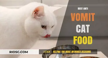 Top Picks for Tummy-Friendly Feline Fare: The Best Anti-Vomiting Cat Foods Reviewed