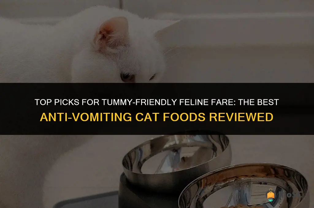 best anti vomit cat food