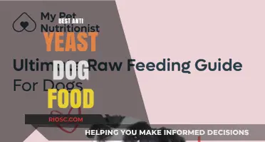 Combating Canine Yeast Infections: A Guide to the Best Anti-Yeast Dog Foods