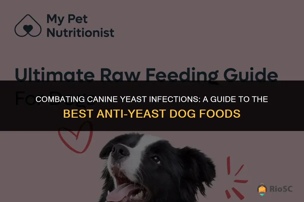 best anti yeast dog food