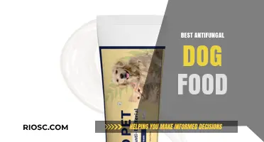 Combating Canine Fungal Infections: A Guide to the Best Antifungal Dog Foods