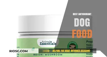 Unleashing Health: A Guide to the Best Antioxidant-Rich Dog Foods for Your Furry Friend