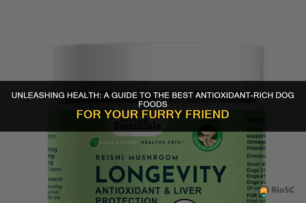 best antioxidant dog food