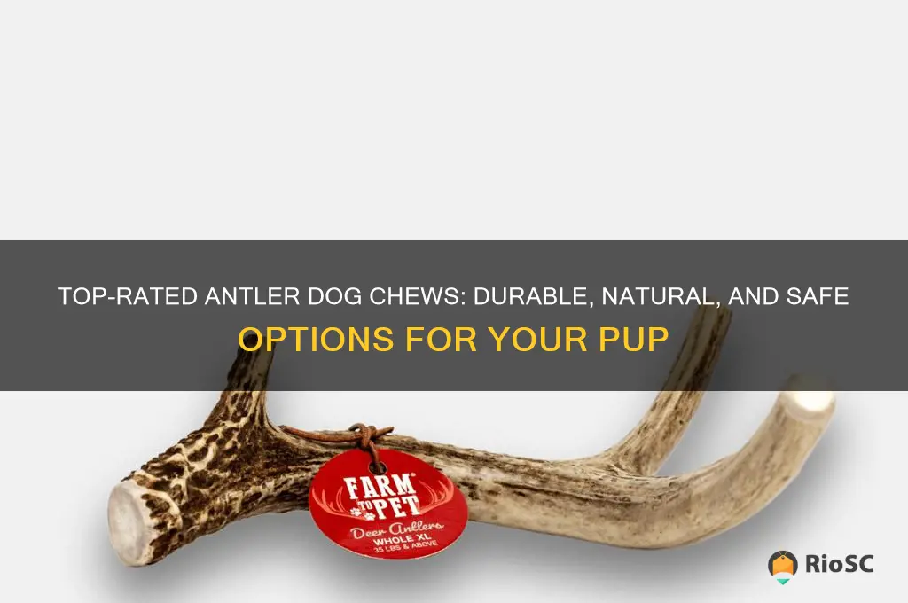 best antler dog chews