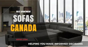 Top Apartment Sofas in Canada: Stylish and Space-Saving Options for Small Living Rooms