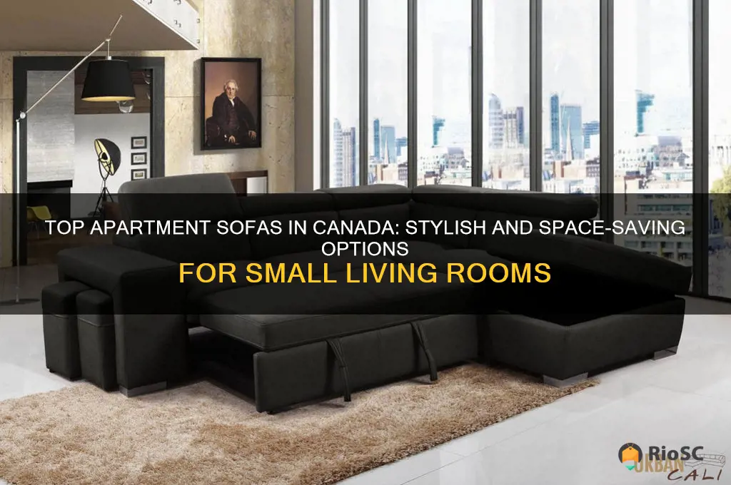 best apartment sofas canada