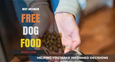 Top Picks for Allergen-Free Dog Food: Keep Your Pup Healthy and Happy