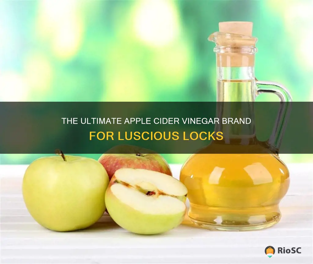 best apple cider vinegar brand for hair