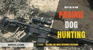 Top AR-15 Rifles for Prairie Dog Hunting: Precision and Performance for the Field