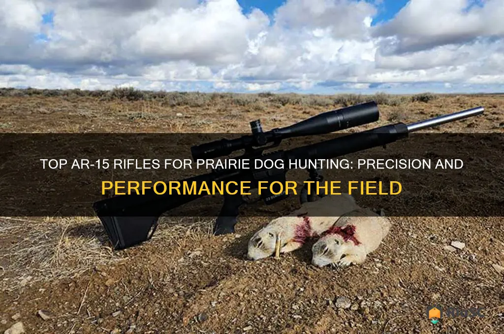 best ar 15 for prairie dog hunting