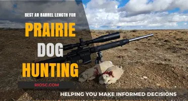 Optimal AR Barrel Length for Prairie Dog Hunting: Balancing Accuracy and Maneuverability
