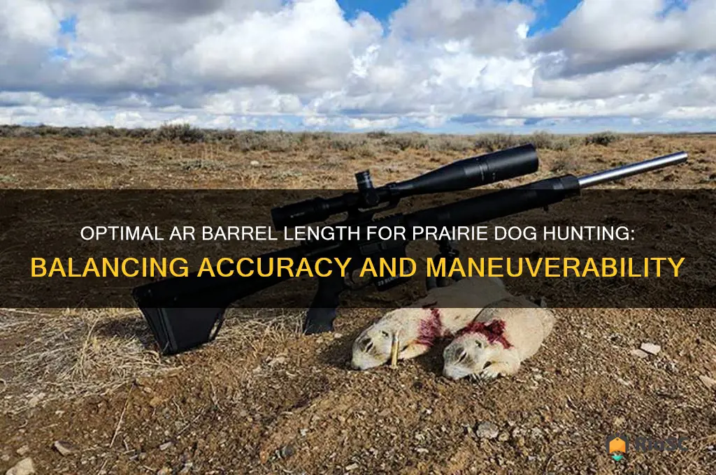 best ar barrel length for prairie dog hunting