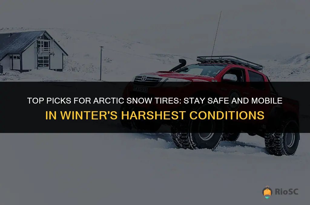best arctic snow tires