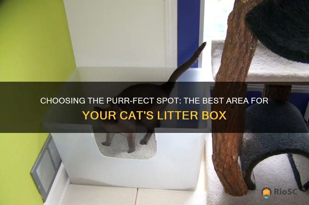 best area for cat litter