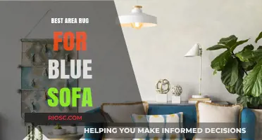 Perfect Match: Top Area Rug Styles to Complement Your Blue Sofa