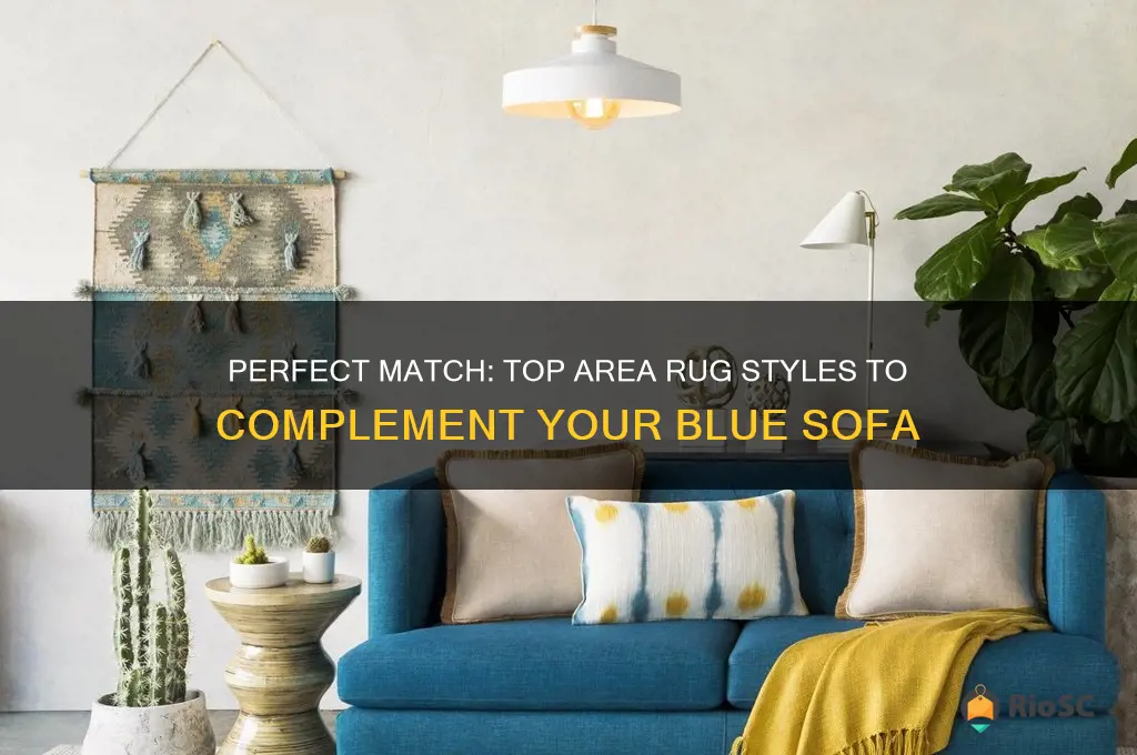 best area rug for blue sofa