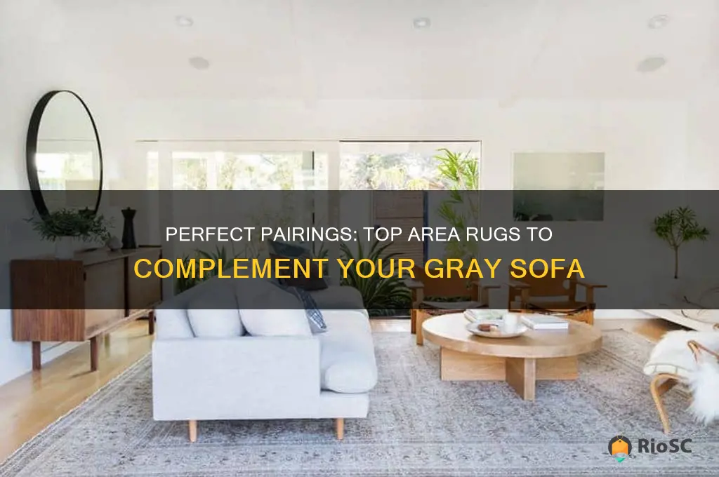best area rugs for gray sofa