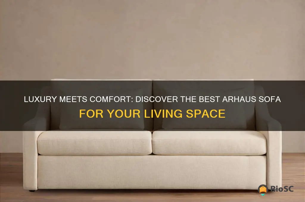 best arhaus sofa