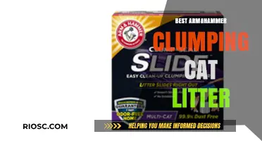 Arm & Hammer Clumping Cat Litter: Top Picks for Odor Control and Easy Cleaning