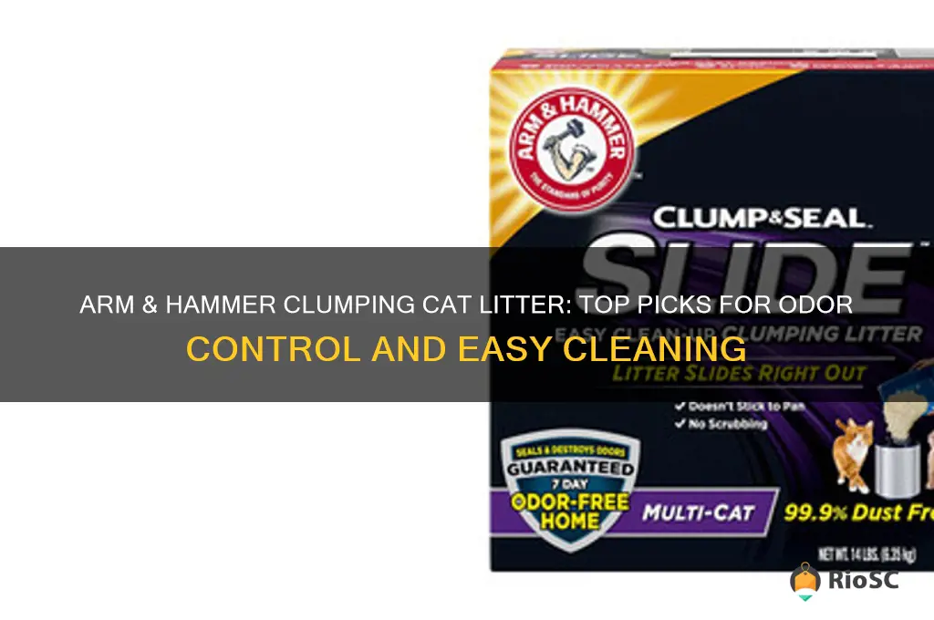best arm&hammer clumping cat litter