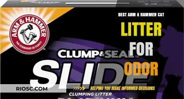 Arm & Hammer Cat Litter: Top Picks for Maximum Odor Control and Freshness
