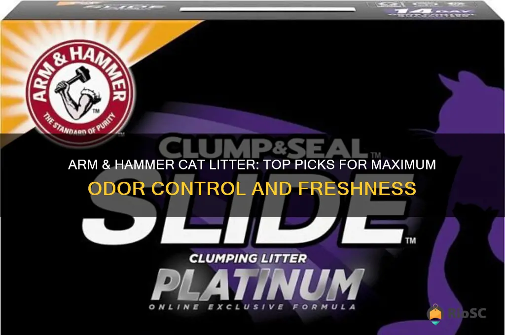 best arm & hammer cat litter for odor
