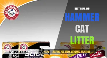 Top Picks: Arm & Hammer Cat Litter for Odor Control and Freshness