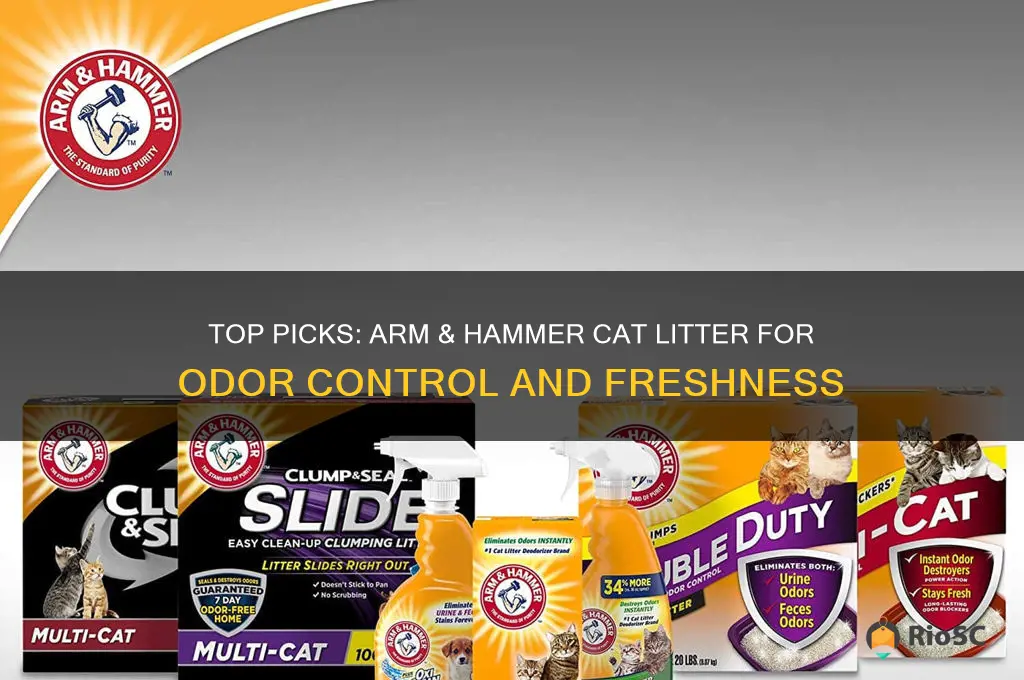 best arm and hammer cat litter