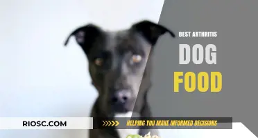 Top Picks for Arthritis-Friendly Dog Food: Supporting Your Pet's Joint Health