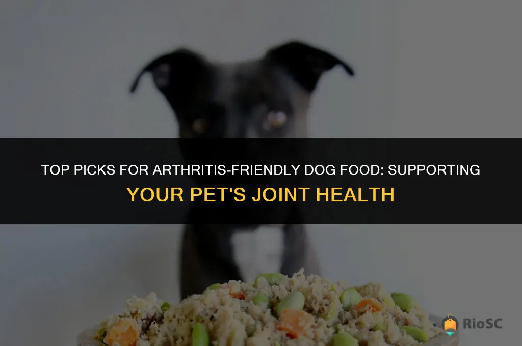 best arthritis dog food