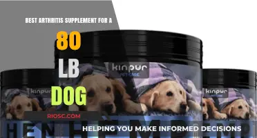 Top Arthritis Supplements for 80 lb Dogs: Relieve Joint Pain and Improve Mobility