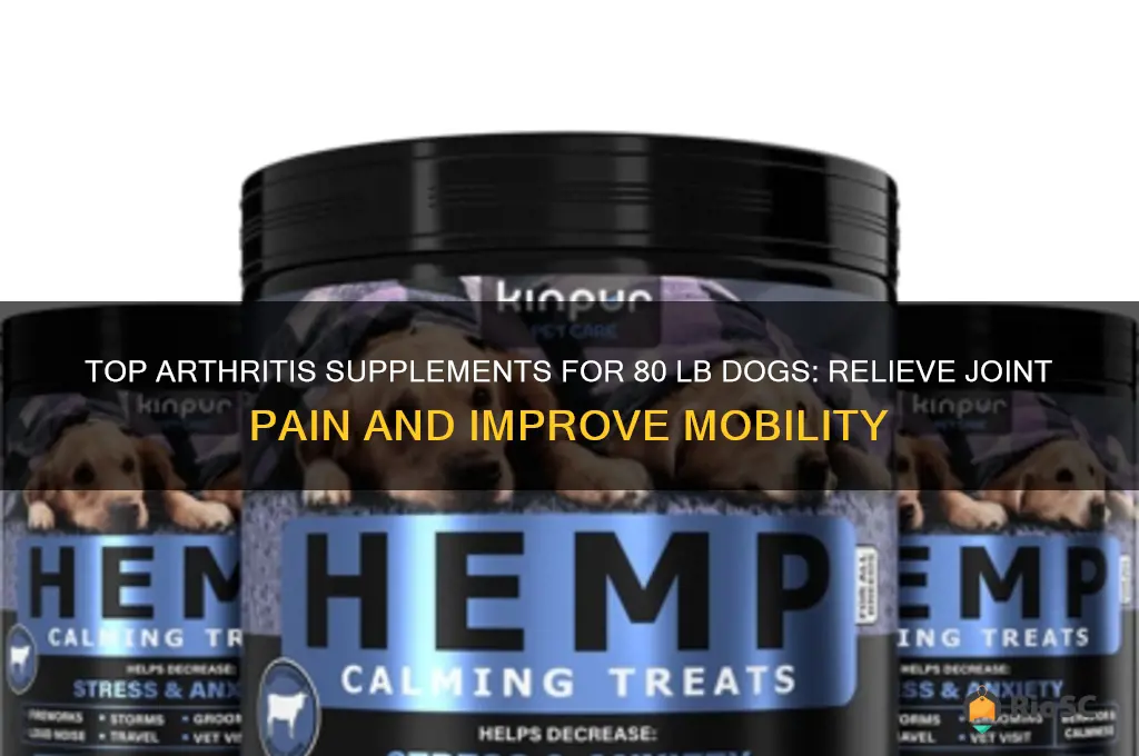 best arthritis supplement for a 80 lb dog