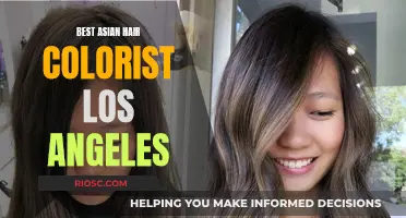 Top Asian Hair Colorists in LA: Mastering the Art of Asian Hair