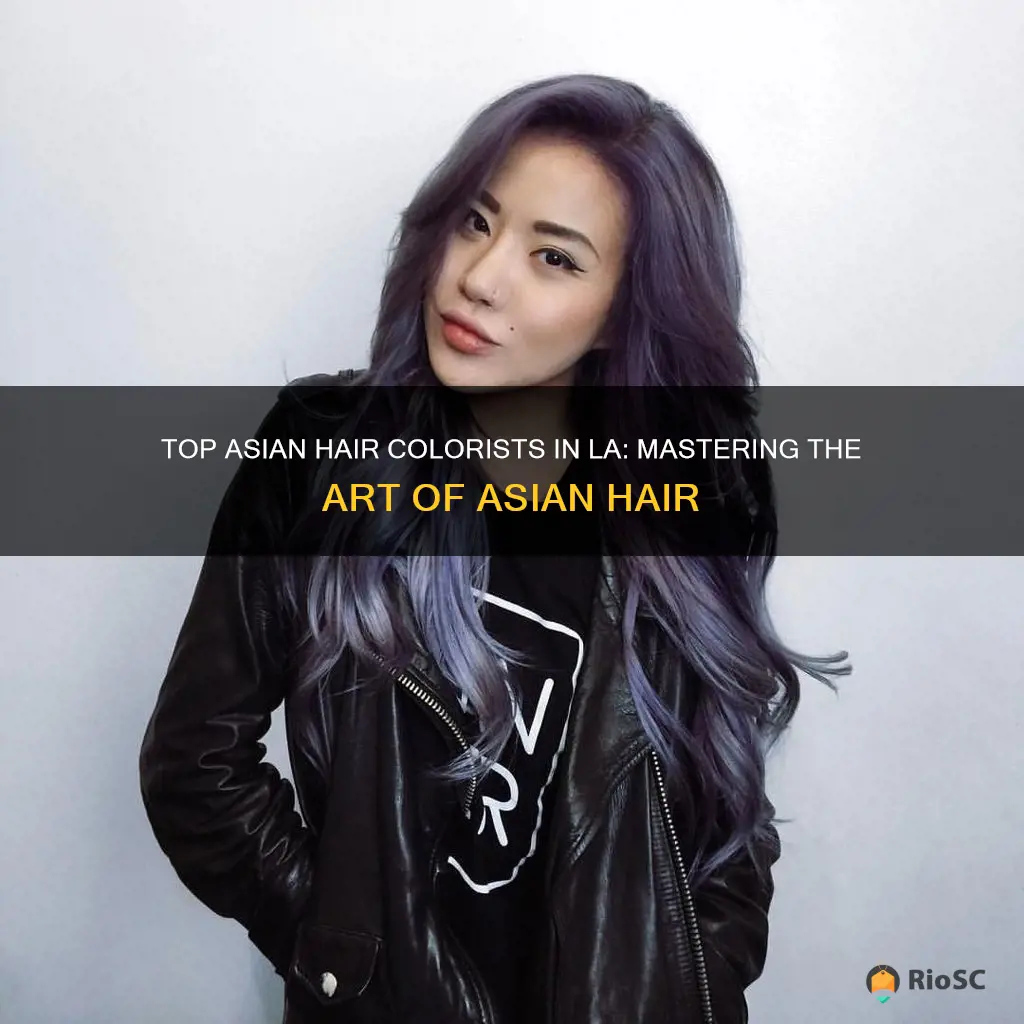 best asian hair colorist los angeles