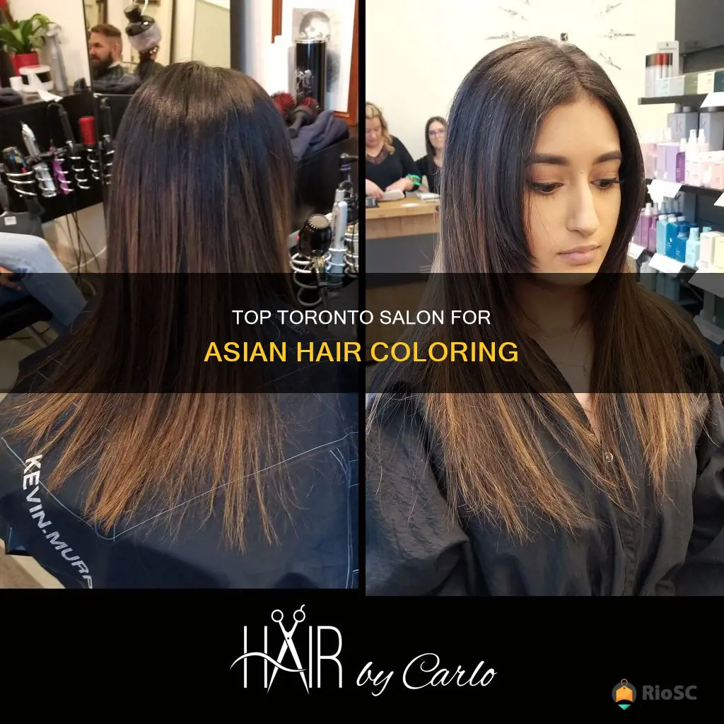 best asian hair colorist toronto