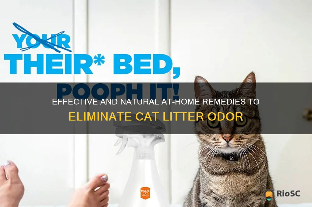 best at home remedies for cat litter odor