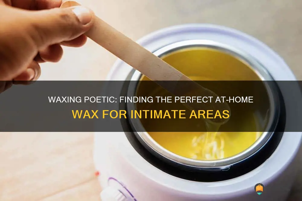 best at home wax for pubic hair