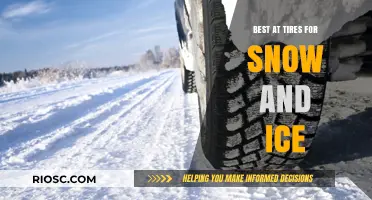 Top-Rated Tires for Snow and Ice: Stay Safe This Winter