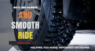 Top Winter Tires for a Smooth and Safe Ride: Expert Recommendations