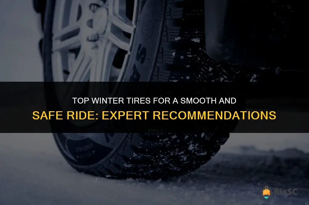 best at tires for winter and smooth ride