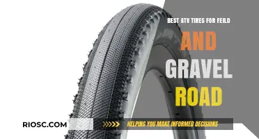 Top ATV Tires for Field and Gravel Road Performance: Durability Meets Traction
