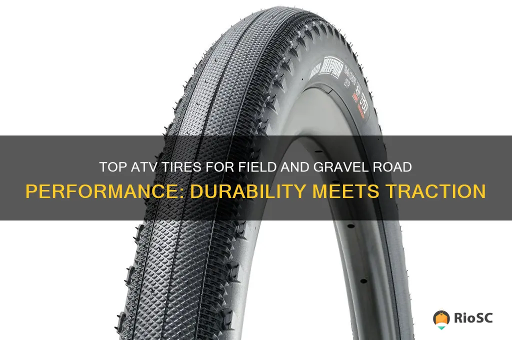 best atv tires for feild and gravel road