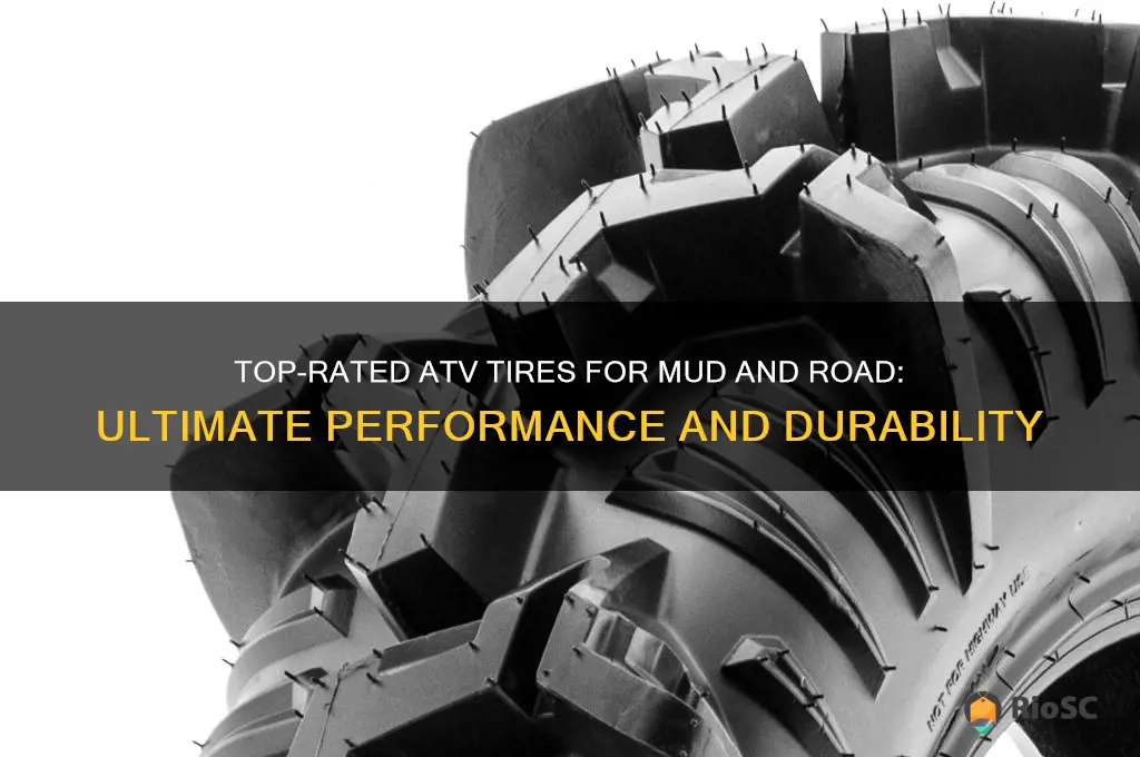 best atv tires for mud and road