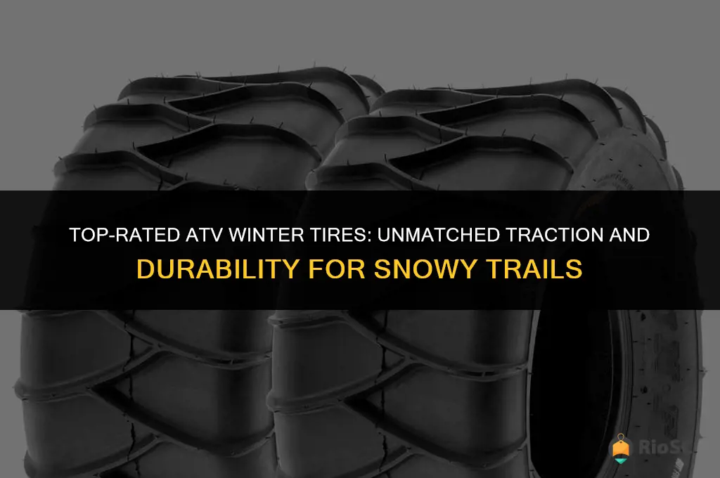 best atv winter tires