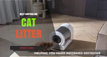 Top Picks for the Best Australian Cat Litter: Eco-Friendly, Odor-Control, and Budget-Friendly Options